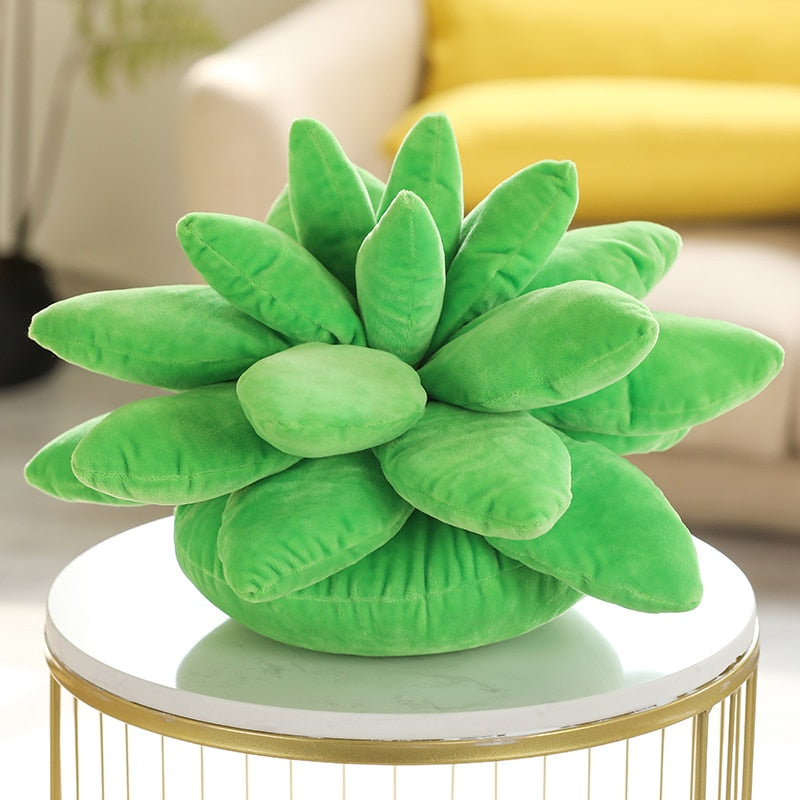 Succulent Plants Plush