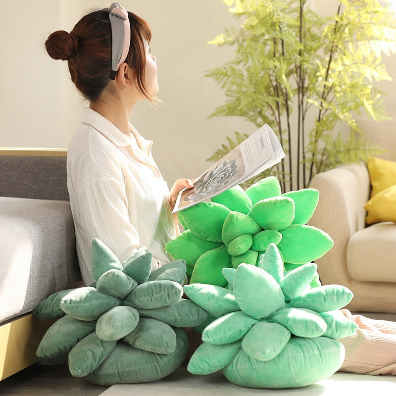 Succulent Plants Plush