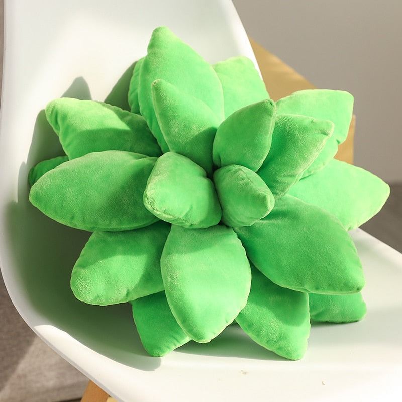 Succulent Plants Plush