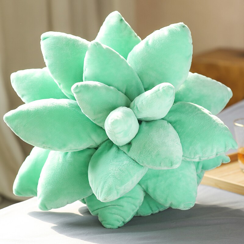 Succulent Plants Plush