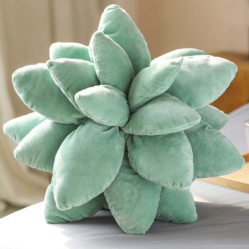 Succulent Plants Plush